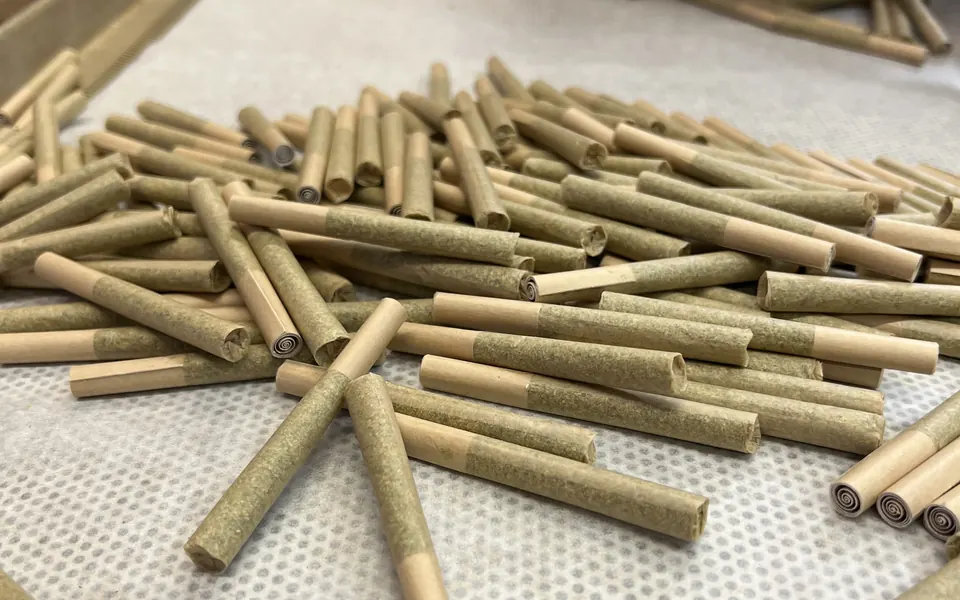 Freshly rolled Lowell pre-rolls spread across a sorting tray